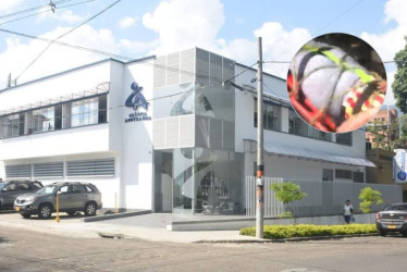 5 de los hinchas accidentados ya tienen el alta médica, uno espera evaluación de un especialista y otro esta en cuidados intensivos 