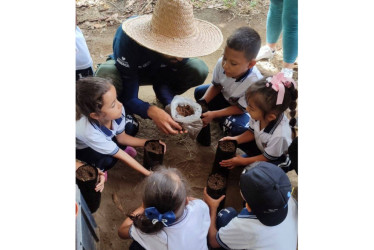 Educan comunidades mediante experiencias prácticas en agroecología y restauración de ecosistemas.