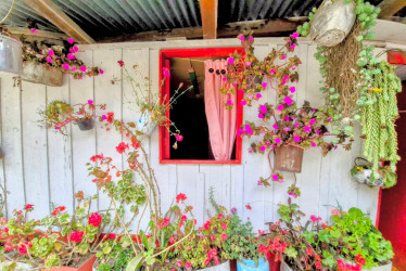 La "Cuna del Paisaje Cultural Cafetero" lo espera. Una nueva marca combina los atractivos del Clúster de Turismo del Norte de Caldas. En la foto, una finca en Marulanda.