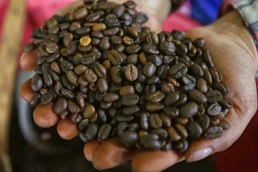 Los principales mercados del café colombiano son Estados Unidos,