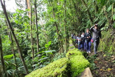 Recorren senderos de biodiversidad