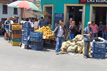 Las ventas informales en el parque de Villamaría.