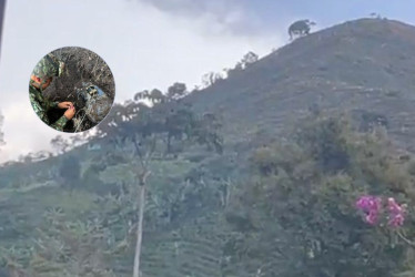 El hallazgo fue posible gracias a información entregada por una fuente humana​​​​​​​