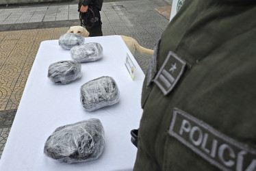 El perro detectó los estupefacientes en tres encomiendas que tenían como destino a Manizales y Villamaría.