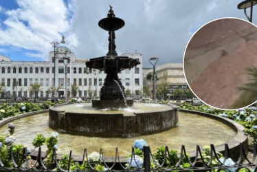 Ciudadanos reportaron presencia de roedores en los parques Fundadores y Ernesto Gutiérrez.