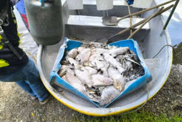 Miles de peces muertos en la Laguna de San Diego causaron el cierre de este sitio turístico por emergencia ambiental.