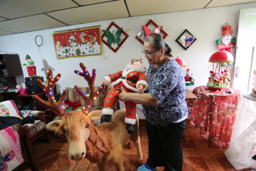 Algunos de sus diferentes diseños.