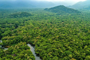 Vista panorámica del Amazonas colombiano.