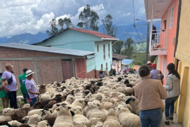 Foto | Cortesía | LA PATRIA