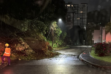 La Unidad de Gestión del Riesgo de Manizales advierte sobre alerta amarilla en Chipre y La Palma por lluvias superiores a 200 milímetros en los últimos 25 días.
