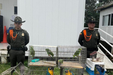 "Cada animal que rescatamos es una vida que vuelve a la libertad, y también un recordatorio de la responsabilidad que tenemos como sociedad".