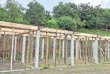 Foto | Cortesía Bomberos de Norcasia | LA PATRIA