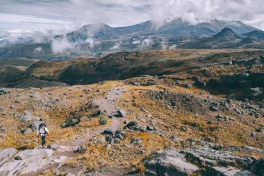 Un ecosistema en riesgo vital para el agua en el Eje Cafetero