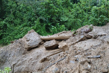 Según la jefe de Gestión del Riesgo de Caldas, Paula Marcela Villamil Rendón, los municipios de Neira, Aranzazu, Pácora y Norcasia han reportado eventos 