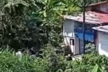 La víctima fue identificada como Juan Diego Osorio Murillo, nacido en Pereira y de 27 años. 