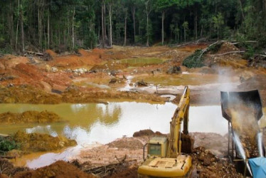 En el operativo, liderado por la Interpol y Brasil, también participaron Bolivia, Colombia, Guyana, Perú y Surinam.