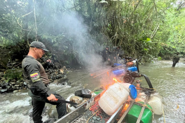 Destrucción de elementos incautados.