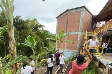 En el colegio La Trinidad, los estudiantes aprendieron durante el año lectivo 2025 a desarrollar aplicaciones móviles para el manejo del invernadero.