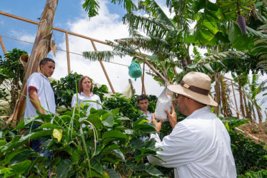 El café producido por estudiantes de la Institución Educativa Juan Crisóstomo Osorio de Aranzazu ganó el concurso Café Tostado Aprendiz Media 2025, destacan su calidad y proceso productivo y educativo.