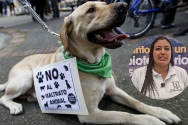 La Personería de Manizales abrió una investigación disciplinaria contra la secretaria de Medio Ambiente, Jessica Quiroz, por presunto incumplimiento en adopción de la RAMA.