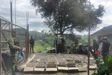 La banda la desmantelaron en el 2023.