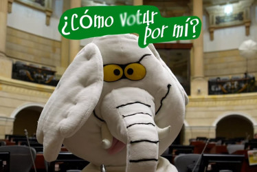 El influencer @elefantescol anunció su campaña para llegar al Senado. Es conocido por sus videos denunciando obras críticas y con retrasos.