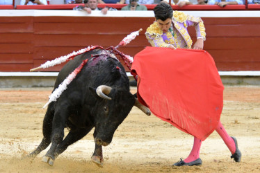 El torero español Marco Pérez lidia el toro 'Sombrerito' de la ganadería de Juan Bernardo Caicedo, este viernes en Cali (Colombia). 