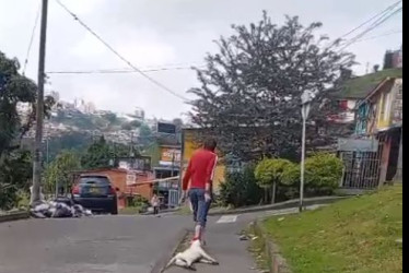 El sujeto arrastró su perro muerto por las calles.