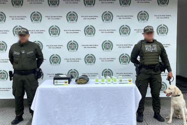 Axel, de dos años y medio, ya es bien conocido por sus múltiples hallazgos de droga en empresas de mensajería.