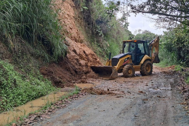La Gobernación del Quindío habilitó vías en Génova afectadas por derrumbes con apoyo de maquinaria y trabajo articulado con la Alcaldía.