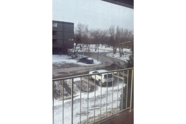 El drama de un manizaleño en medio del despliegue "sin precedentes" del Servicio de Inmigración y Control de Aduanas de Estados Unidos (ICE) en Minnesota.