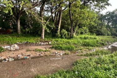 Sector de los hechos