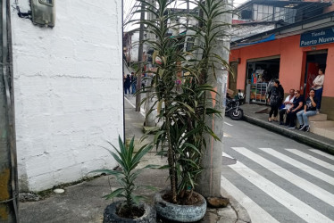 Piden no arrojar basuras en esta esquina del barrio Américas