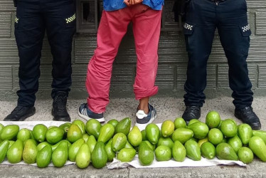 Los hechos se registraron cuando mediante llamada telefónica la comunidad informó que un sujeto salía de un predio de este sector portando un bulto.