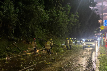 Un árbol cayó en la avenida Centenario de Manizales y restringió la movilidad durante unos minutos. Autoridades monitorean las estaciones hidrometeorológicas.