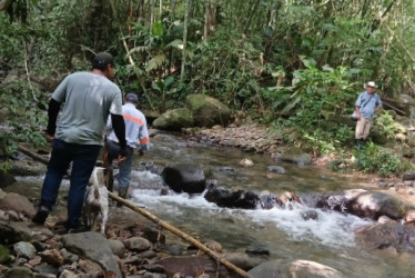 Búsqueda de un desaparecido del 2025 en el Oriente de Caldas.