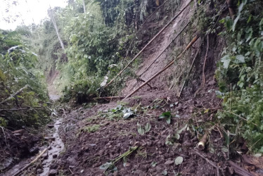 Situación este viernes entre las veredas Campo Alegre y La Ceiba de Manzanares, donde se presentaron cerca de siete derrumbes por las lluvias. "El paso está restringido, pero ya hay maquinaria del municipio en el sitio removiendo el material", explicó la Gobernación de Caldas. 