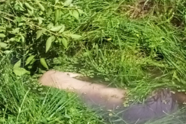 Hasta el momento no se han entregado detalles adicionales sobre las circunstancias en las que se produjo el fallecimiento. El caso continúa en investigación.