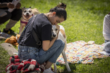 Investigación colombiana revela bases genéticas del alzhéimer en perros