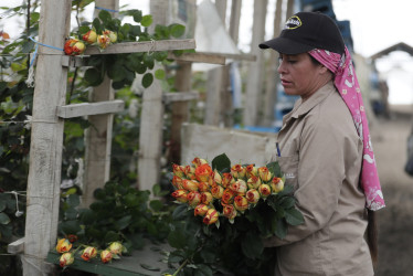 Las mujeres hacen posible San Valentín desde Colombia