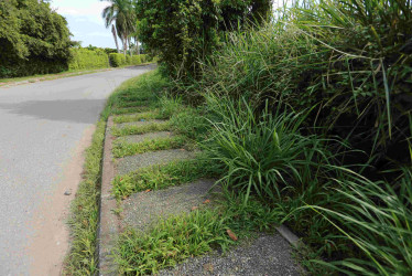 Piden poda en senderos peatonales de Santágueda