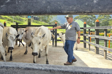 El docente Andrés Franco Franco orienta a estudiantes y productores en el manejo de razas criollas como el blanco orejinegro en la Granja San José, centro de transferencia tecnológica del CINOC que impulsa la formación, la investigación y el desarrollo rural en el Oriente de Caldas.
