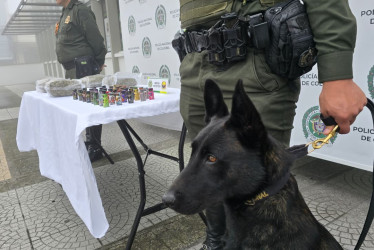 Los caninos descubrieron estupefacientes.