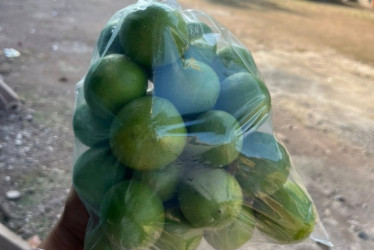 La víctima, empresario de Armenia, entabló contacto con Castro Pérez, quien haciéndose pasar como comercializador de cítricos y frutas le ofreció venderle 6 mil kilos de limones.