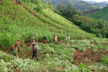 El Gobierno de Colombia afirma que sí está cumpliendo con la lucha antidrogas en la frontera con Ecuador.