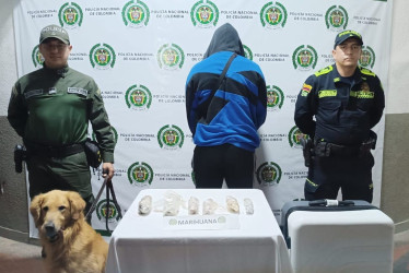 El perro Nico fue el que encontró la maleta donde había marihuana 