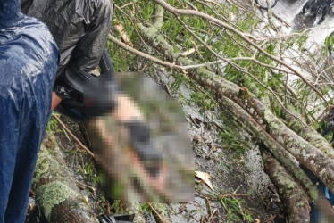 Un hombre fue la víctima fatal, cuando pasaba por el kilómetro 8, sector talleres de Magnetrón, en la vía Pereira - Cerritos.