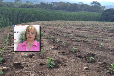 Video: la candidata a la Cámara por Caldas Nohemy Cecilia Constaín Betancur (coalición Centro Democrático - Partido de la U) respalda más mano de obra, recursos y vías para el campo.