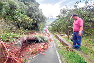 Árboles caídos y deslizamientos interrumpieron el acceso  a la vereda Gallinazo desde Manizales. 