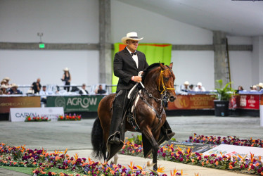 Así arrancó la Feria Equina en Manizales: competencias, remates y plan familiar todo el fin de semana